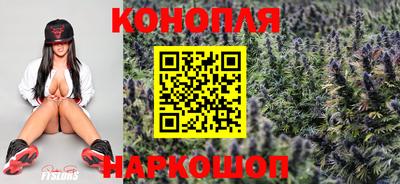 прущие грибы Свободный