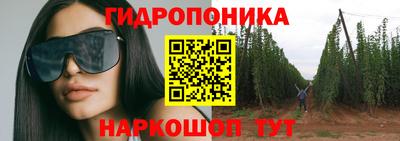 прущие грибы Свободный