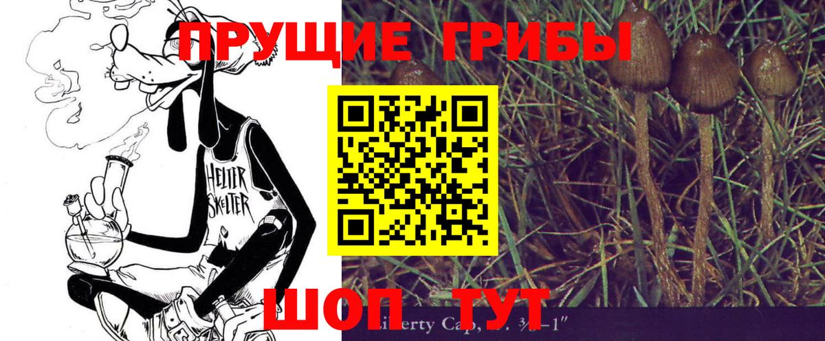 Псилоцибиновые грибы Psilocybe Электросталь
