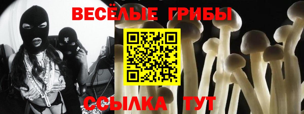 купить наркотик  Галлюциногенные грибы мицелий  Вход с VPN  Электросталь 